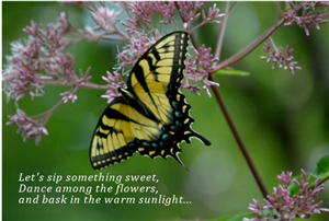 Postcard Design by Spirit Wings for this project | Design: #4491512