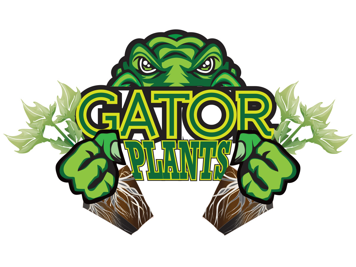 Diseño de Logo por Soula Vetter para este proyecto | Diseño: #4427484