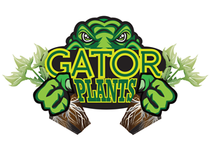 Diseño de Logo por Soula Vetter para este proyecto | Diseño: #4427489