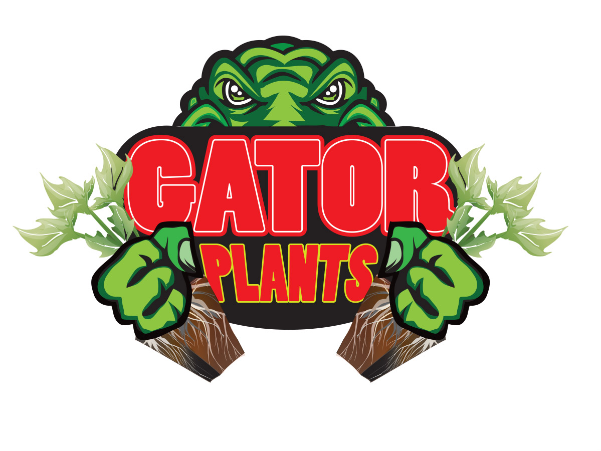 Diseño de Logo por Soula Vetter para este proyecto | Diseño #4428888