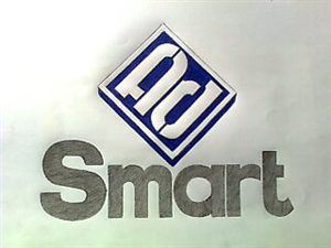 Logo Design by Mallory Blaauw