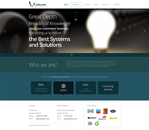 Web Design Project for a Software & Consulting Company | Diseño Web por Fuxxo Works