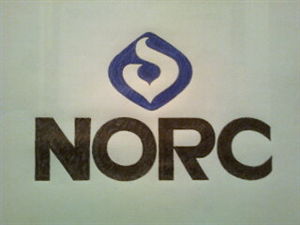 Logo Design by Mallory Blaauw