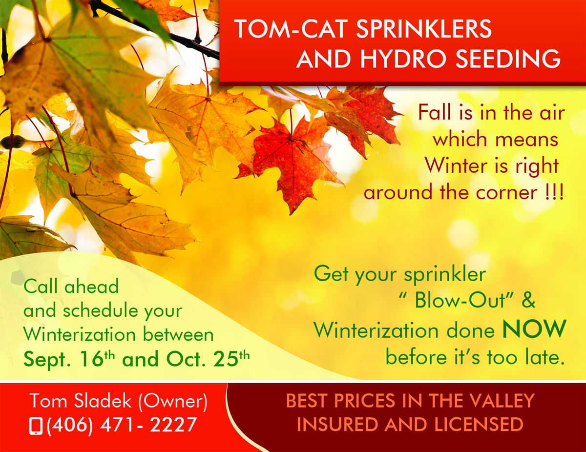 Postcard Design by Akshar Shailesh for this project | Design #4435210