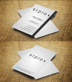 Business Card Design by AwsomeD for this project | Design: #4478672