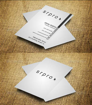 Business Card Design by AwsomeD for this project | Design: #4478673