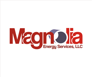 Logo Design by Ha Design