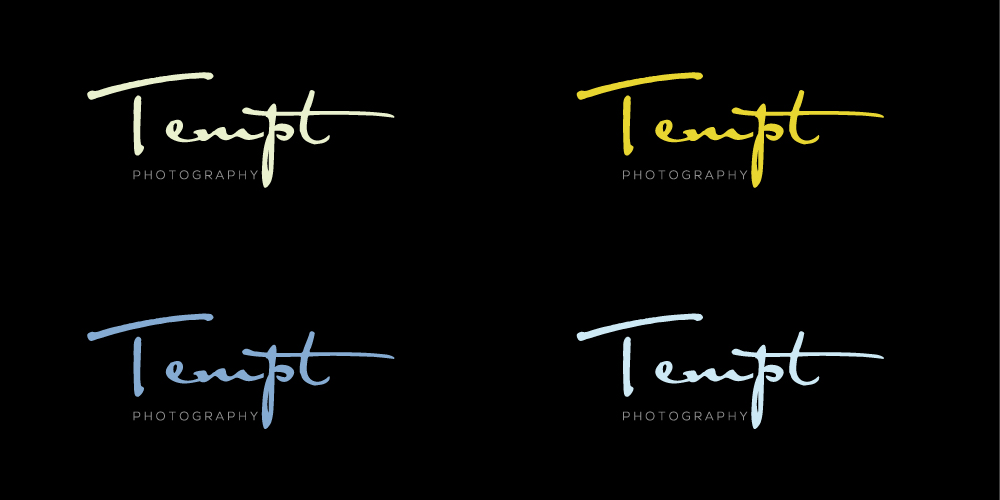 Logo Design by ergo™ for Chris Young Photography | Design #4452876