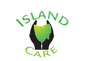 Logo Design by Katala