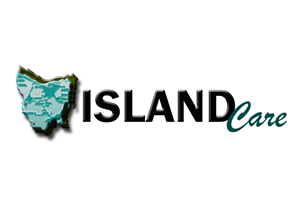 Logo Design by nibirustar