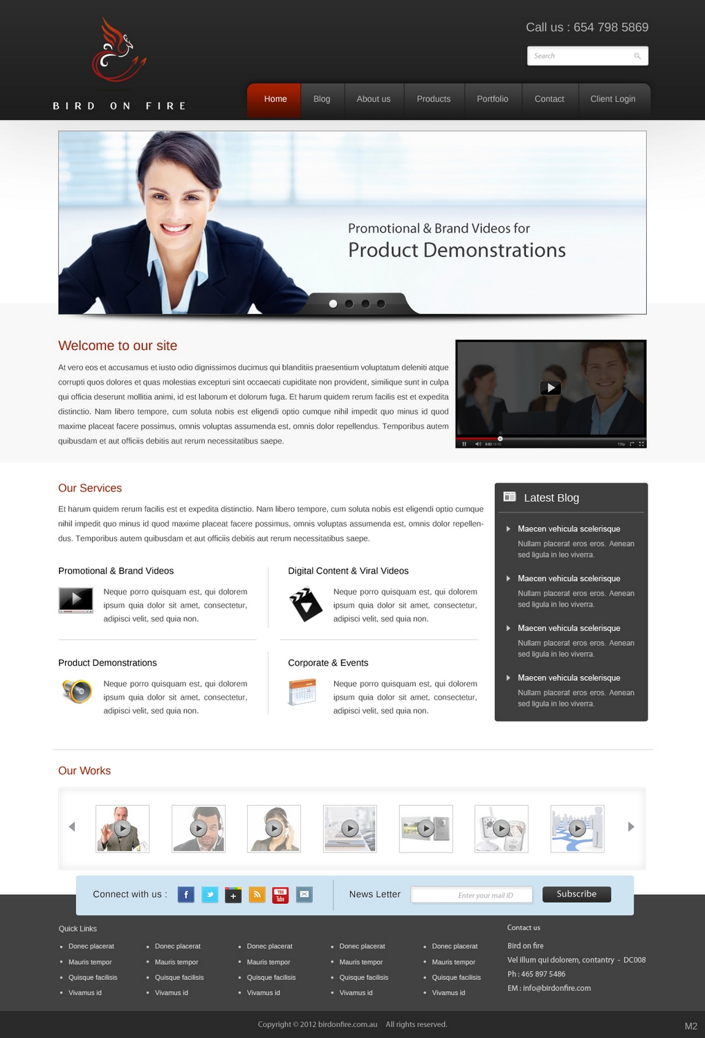 Diseño Wordpress por pb para Bird on Fire Pty Ltd | Diseño #1272750