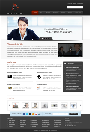 Diseño Wordpress por pb para Bird on Fire Pty Ltd | Diseño: #1272750