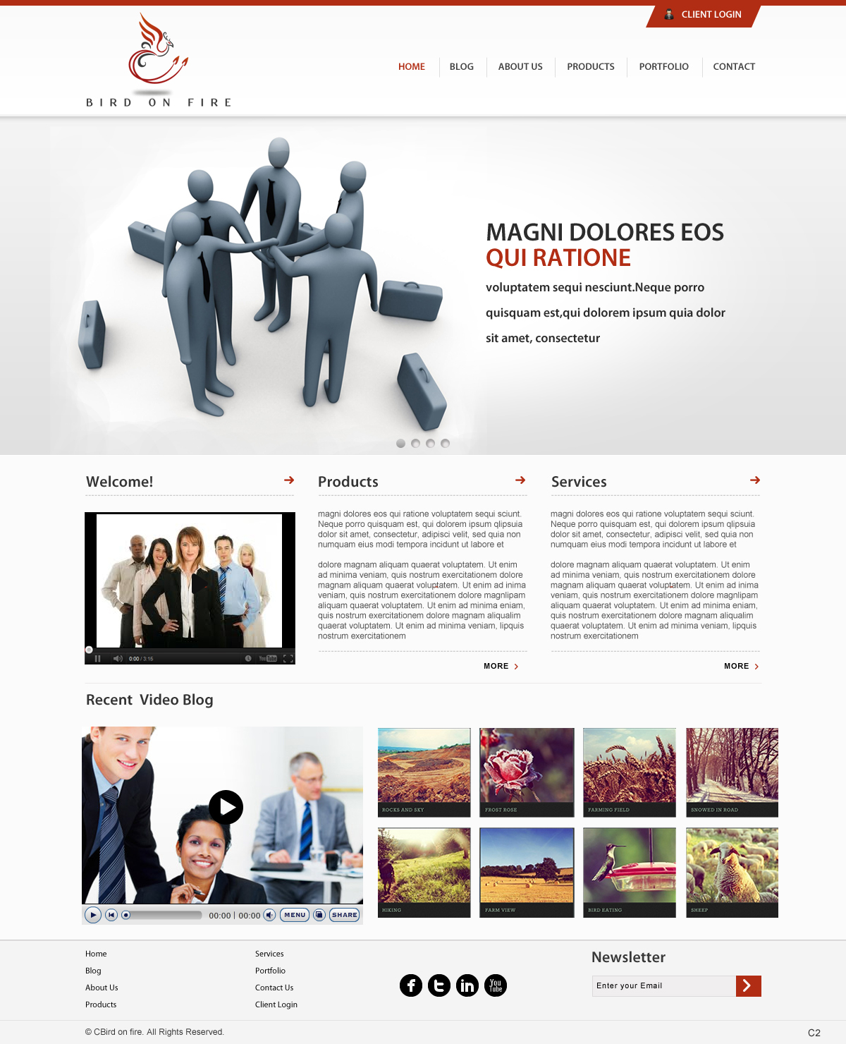 Diseño Wordpress por pb para Bird on Fire Pty Ltd | Diseño #1275516