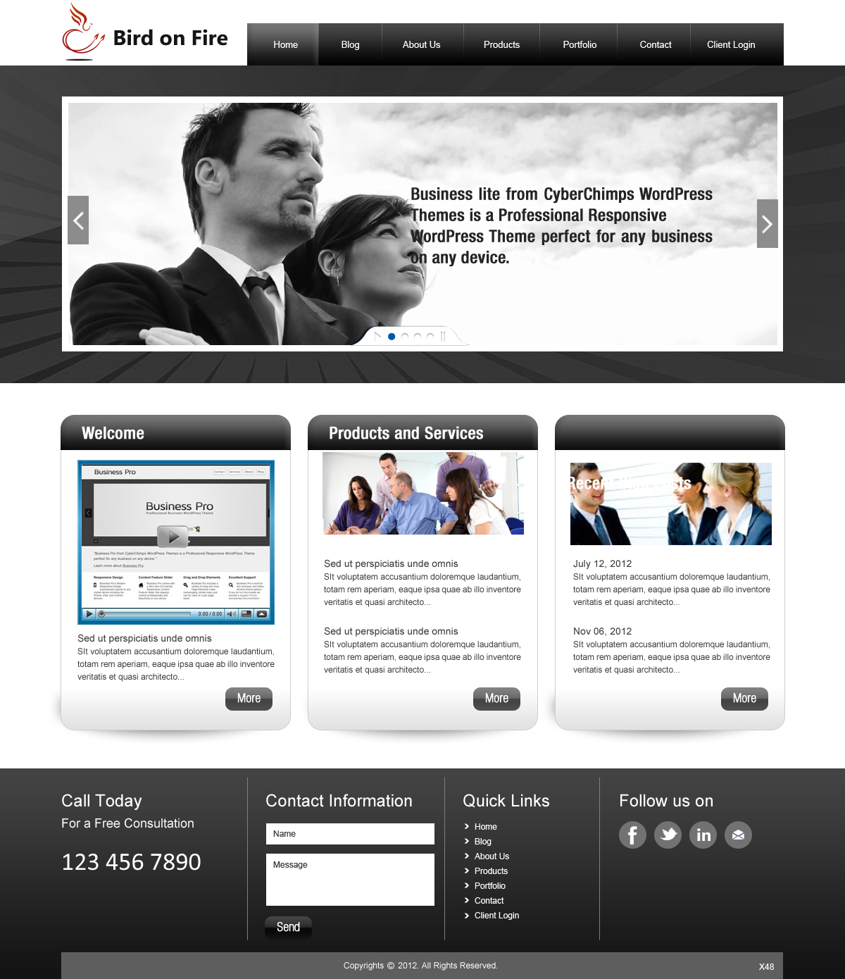 Diseño Wordpress por pb para Bird on Fire Pty Ltd | Diseño #1284684
