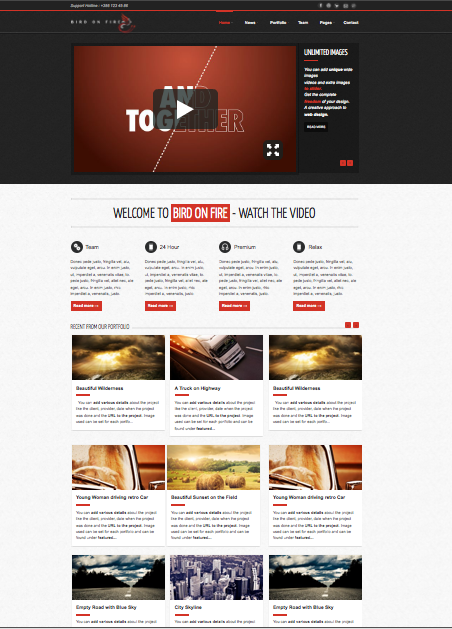 Wordpress Design by schk for Bird on Fire Pty Ltd | Design #1283830
