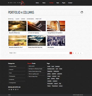 Diseño Wordpress por schk para Bird on Fire Pty Ltd | Diseño: #1283837