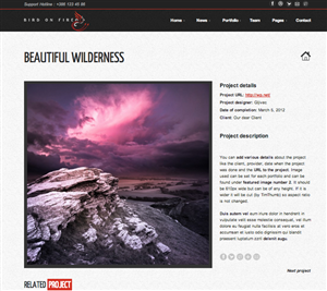 Diseño Wordpress por schk para Bird on Fire Pty Ltd | Diseño: #1283840