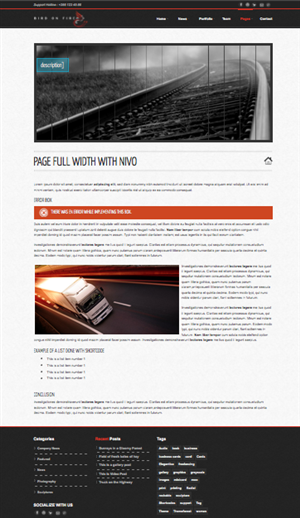 Diseño Wordpress por schk para Bird on Fire Pty Ltd | Diseño: #1283843