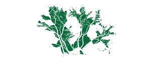 Art Design by -mch-