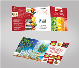 Brochure Design by Impressive Sol