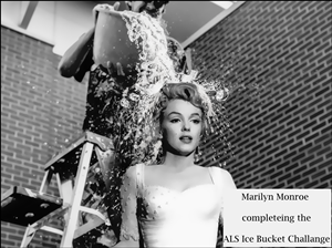 Design Photoshop par Jellie pour DesignCrowd LLC | Design : #4469528