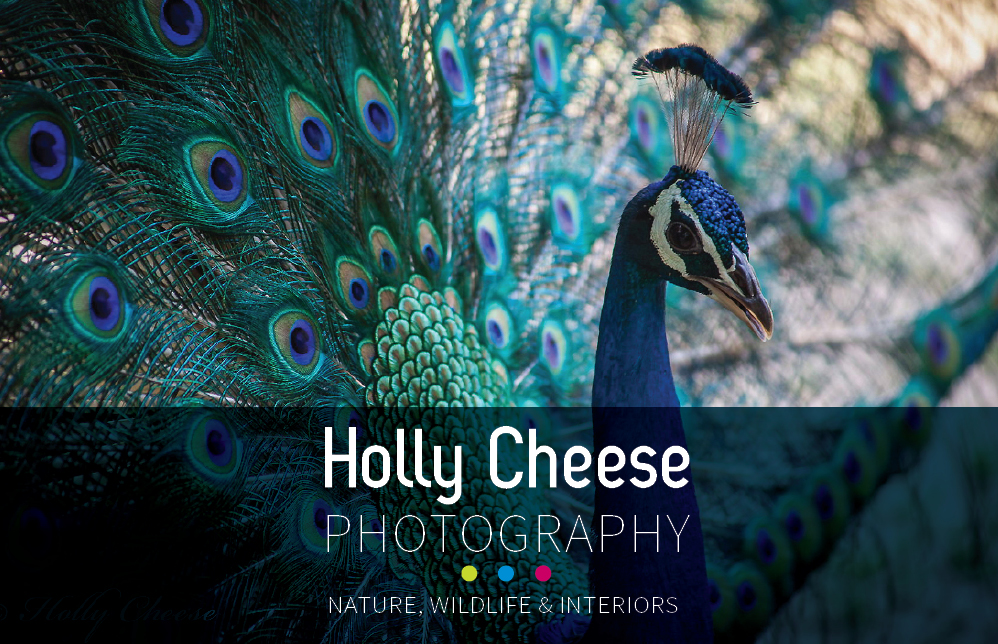 Design de Carte de Visite par INGA DESIGN pour ce projet | Design #4500673