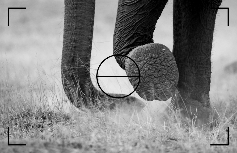 Design de Carte de Visite par  Kostas pour ce projet | Design #4483340