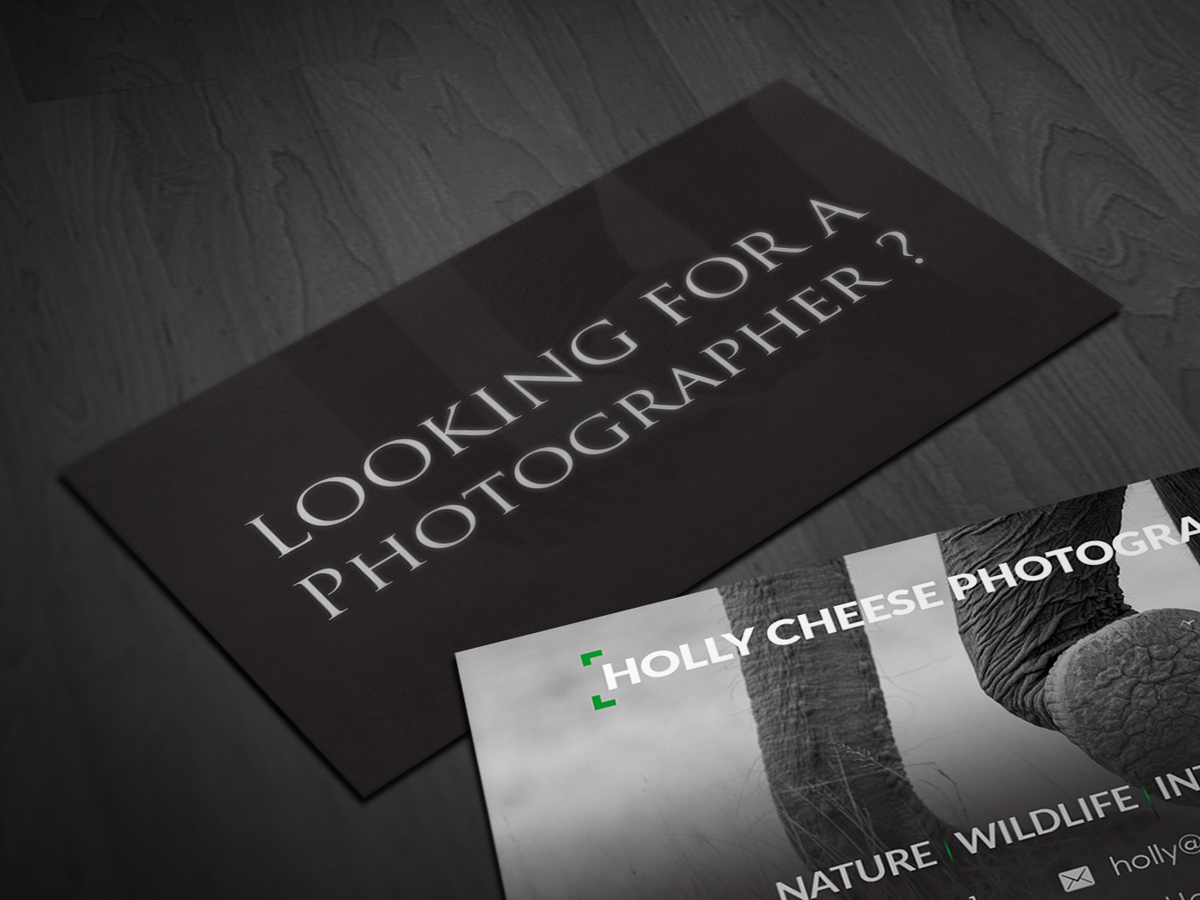 Business Card Design by Pointless Pixels India for this project | Design #4442179