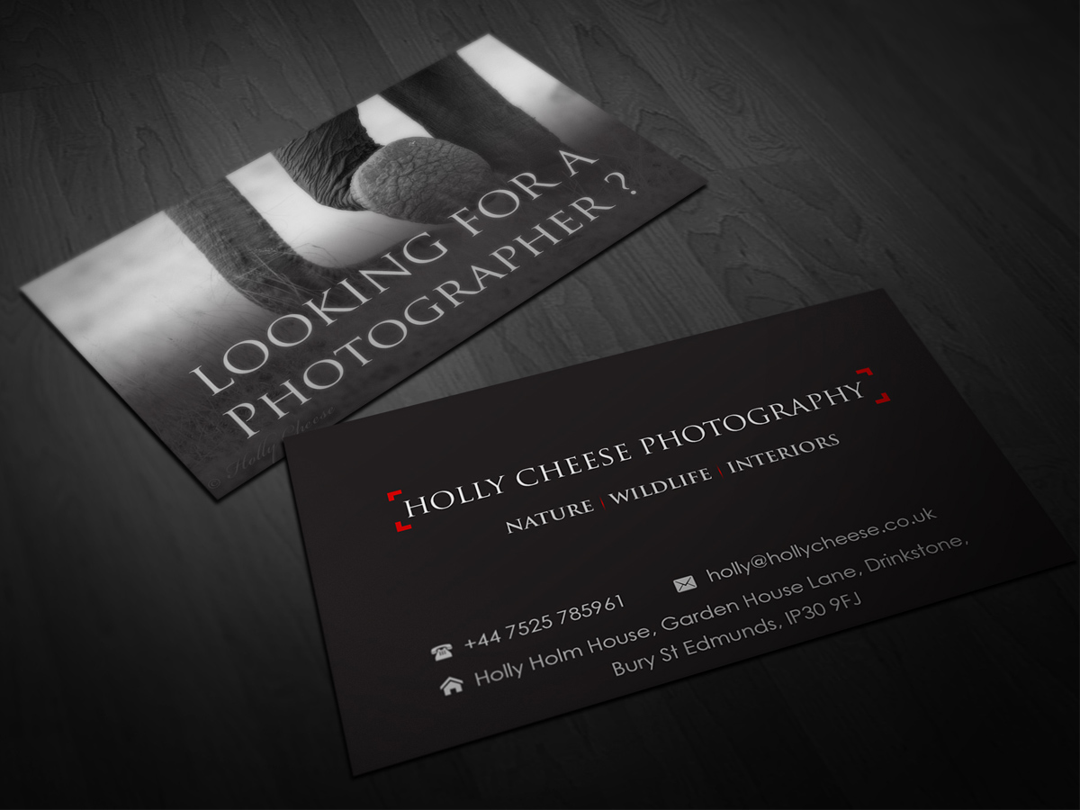 Design de Carte de Visite par Pointless Pixels India pour ce projet | Design #4442343