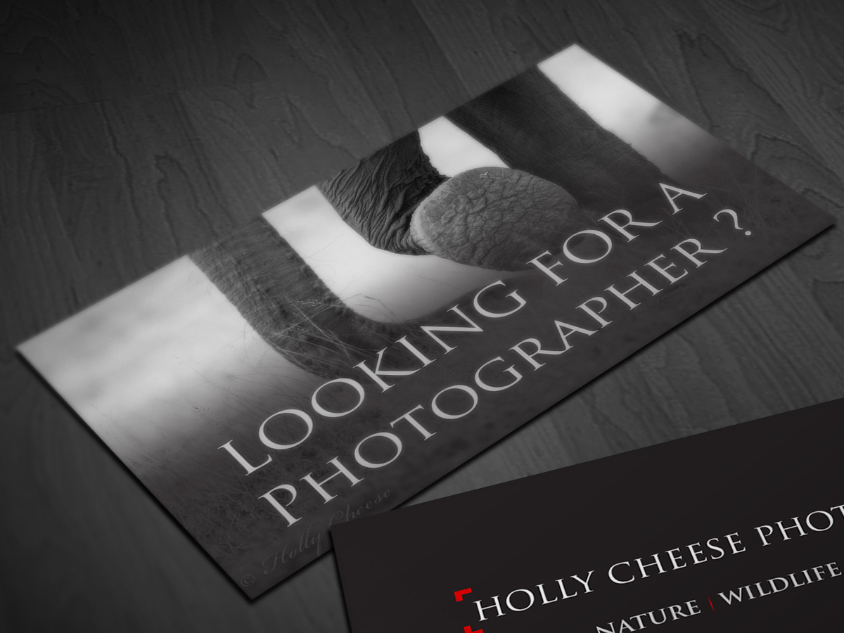 Design de Carte de Visite par Pointless Pixels India pour ce projet | Design #4442348