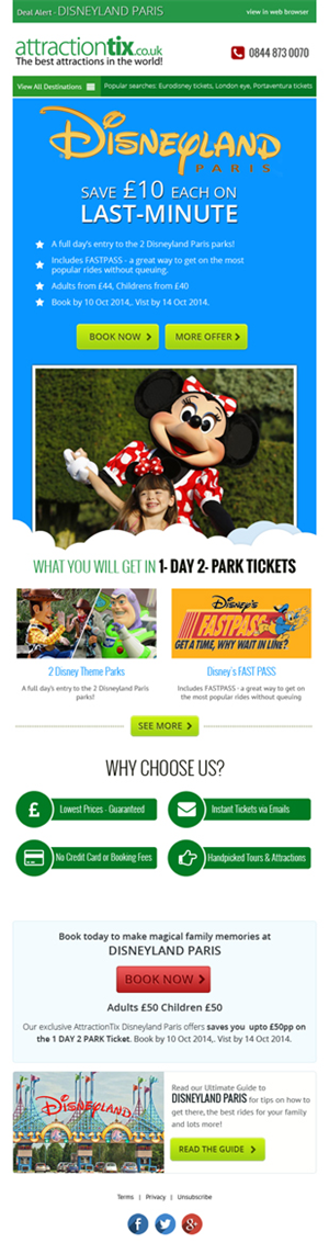 Newsletter Design by Expert Designer