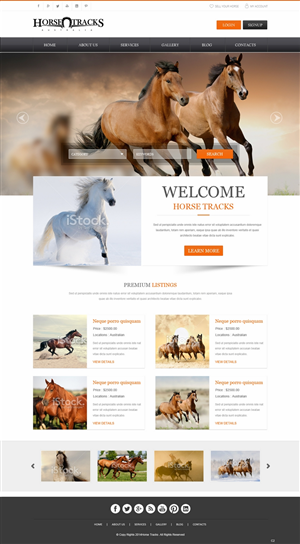 Diseño Web por pb para este proyecto | Diseño: #4778372