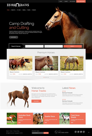 Diseño Web por pb para este proyecto | Diseño: #4788609