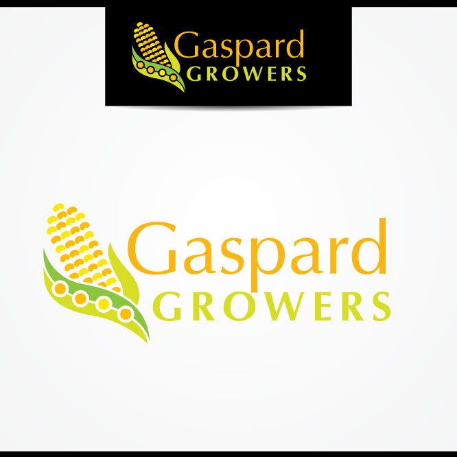 Logo Design by maazulhaq for this project | Design #4463312