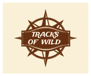 Logo Design by iBh03