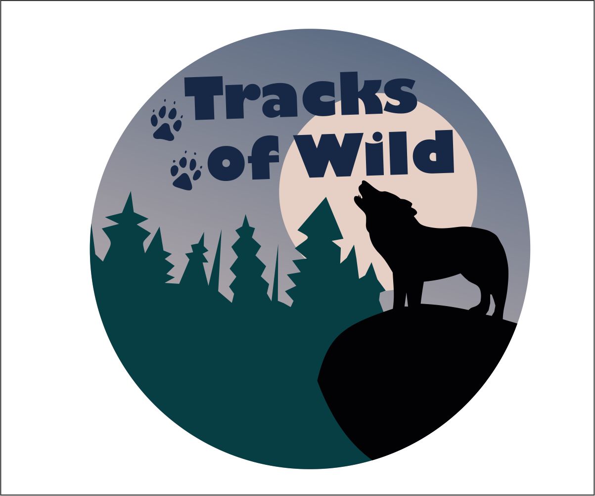 Logo Design by itsemerrko for this project | Design #4467227