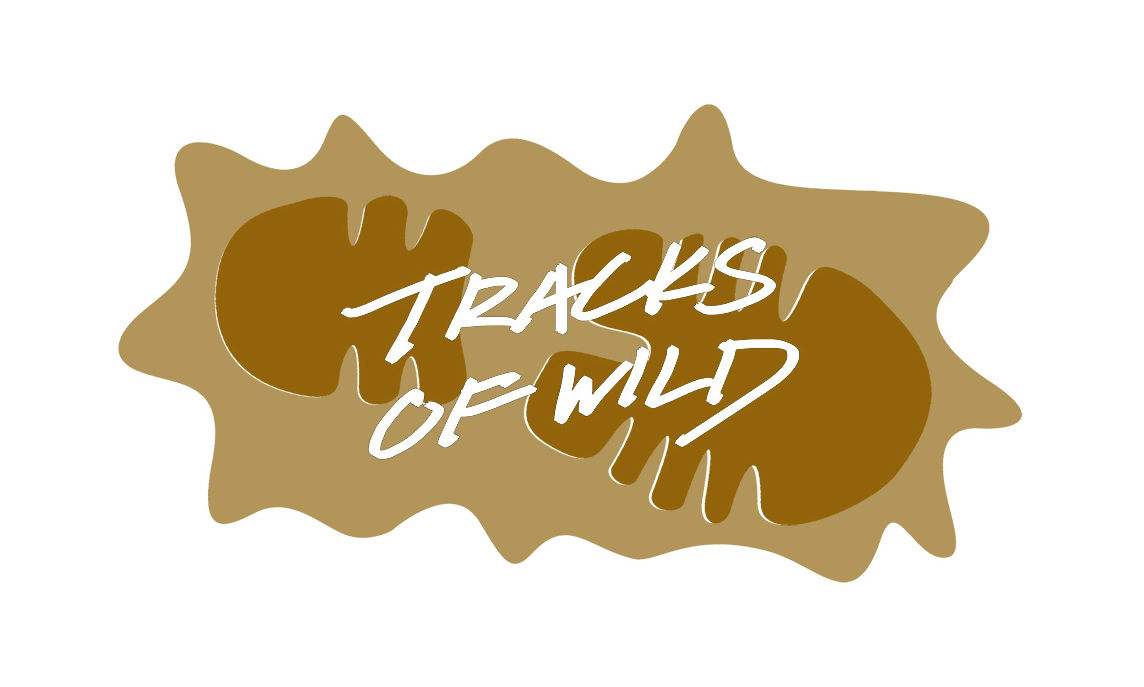 Logo Design by Yixi for this project | Design #4478117