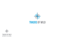Logo Design by ARSAL DIZ for this project | Design #4462163