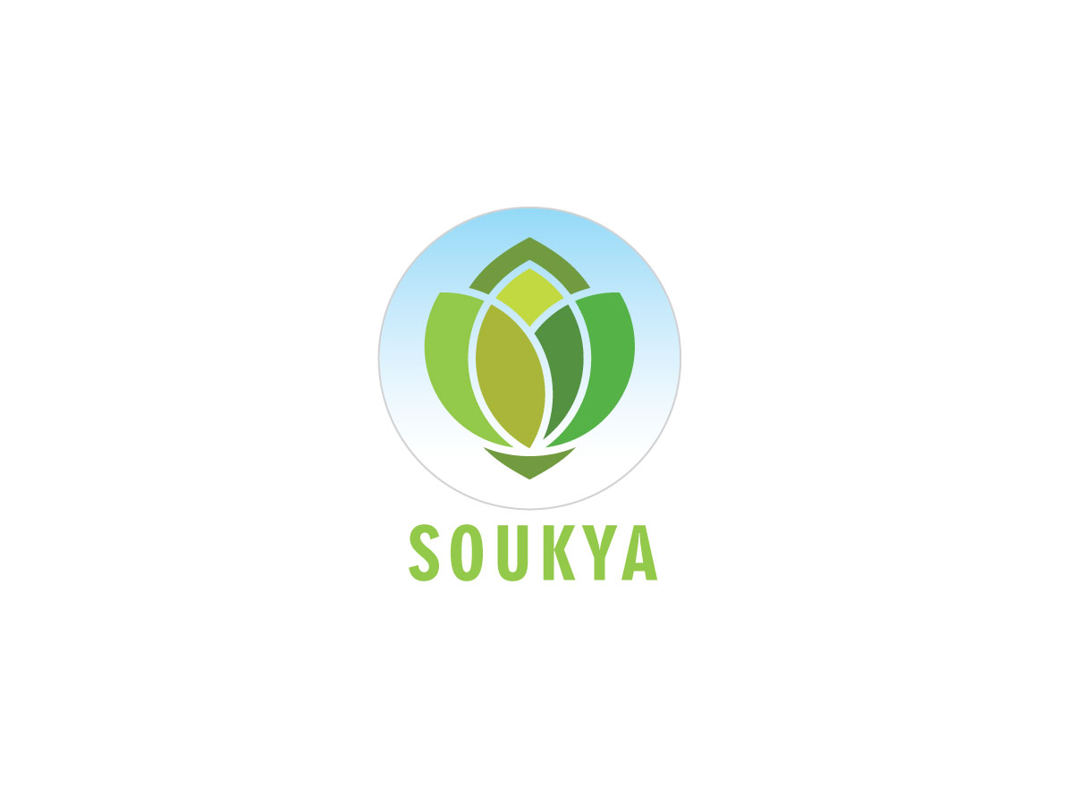 Logo Design by singularity D for this project | Design #4459764