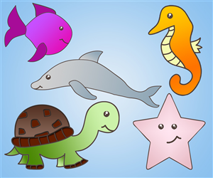 Illustration Design by Kirsten