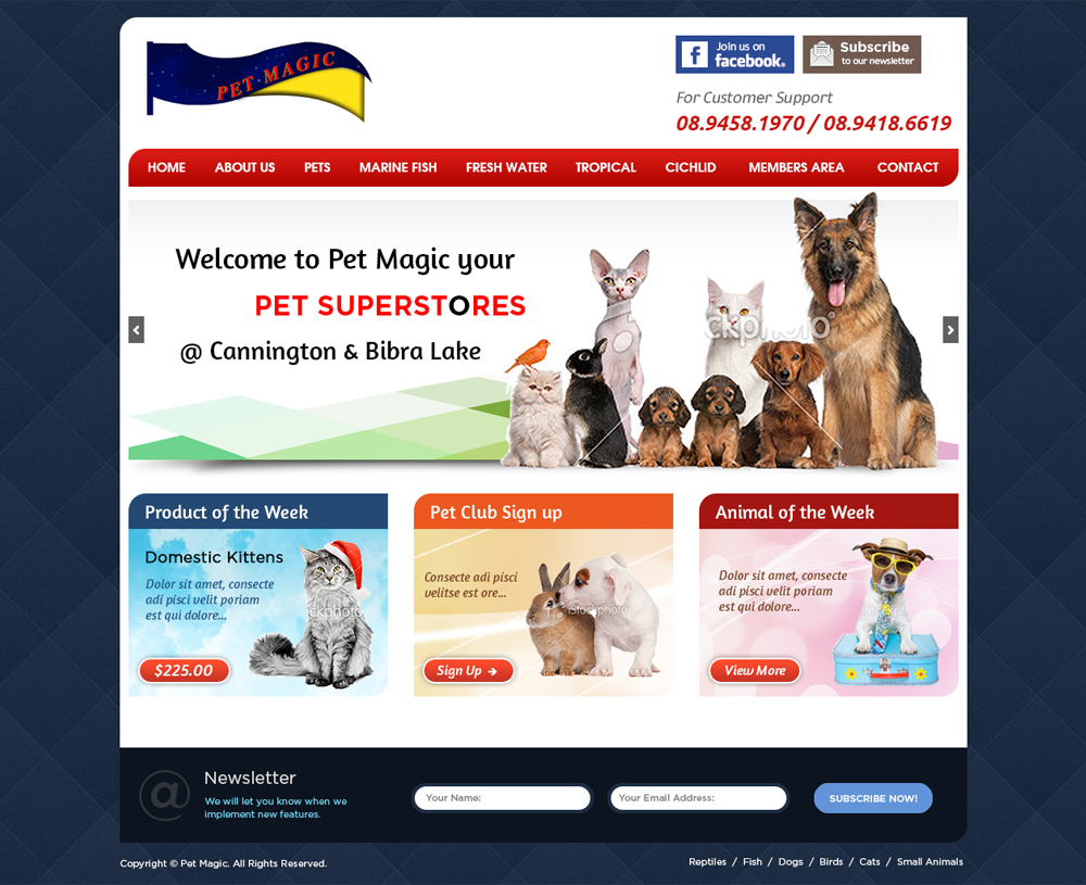 Web Design by Mayank Patel for Perth Web Hosting | Design #1267856