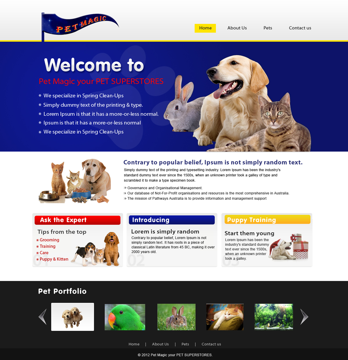 Web Design par webxvision pour Perth Web Hosting | Design #1268175