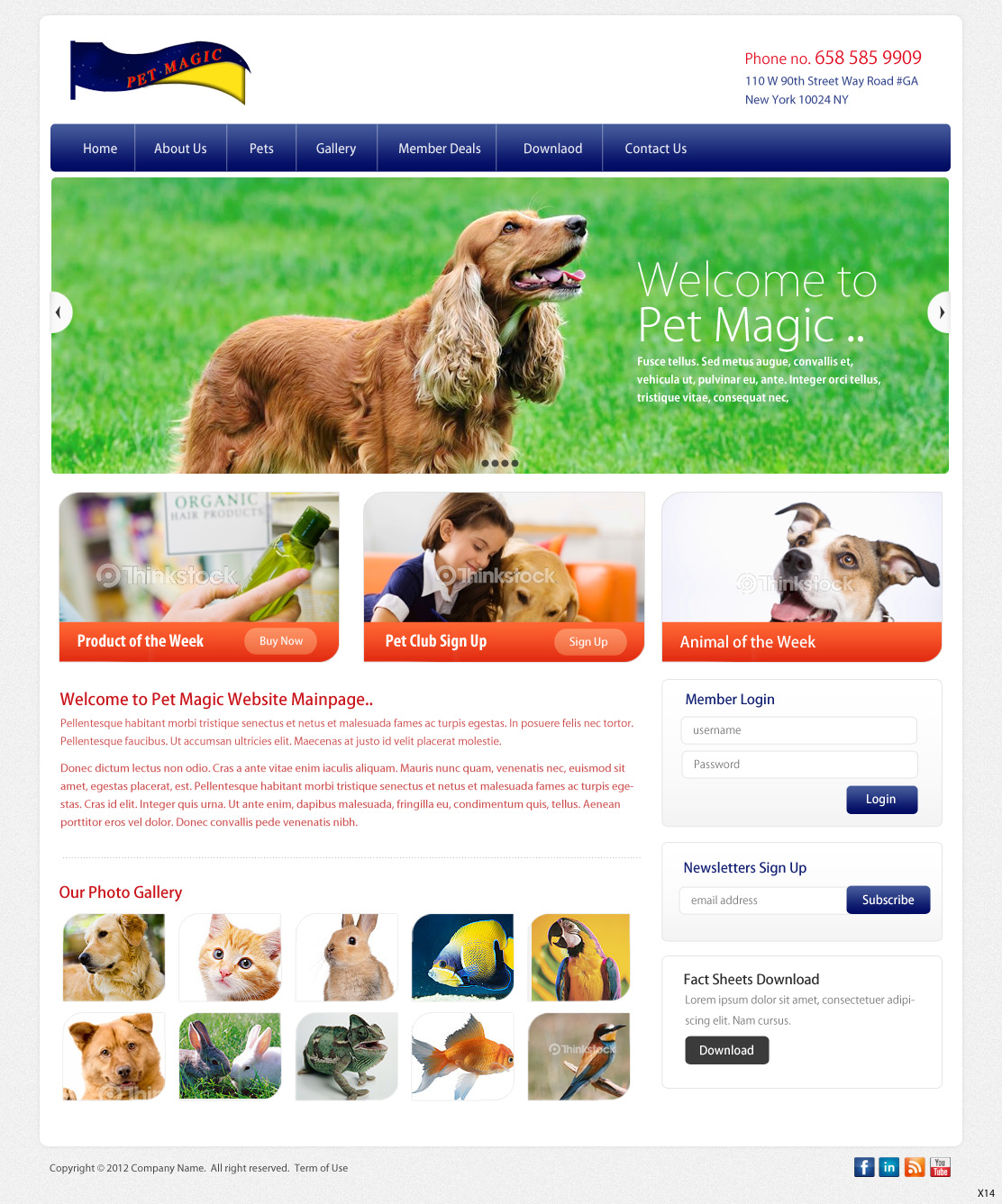 Web-Design von pb für Perth Web Hosting | Design #1268713