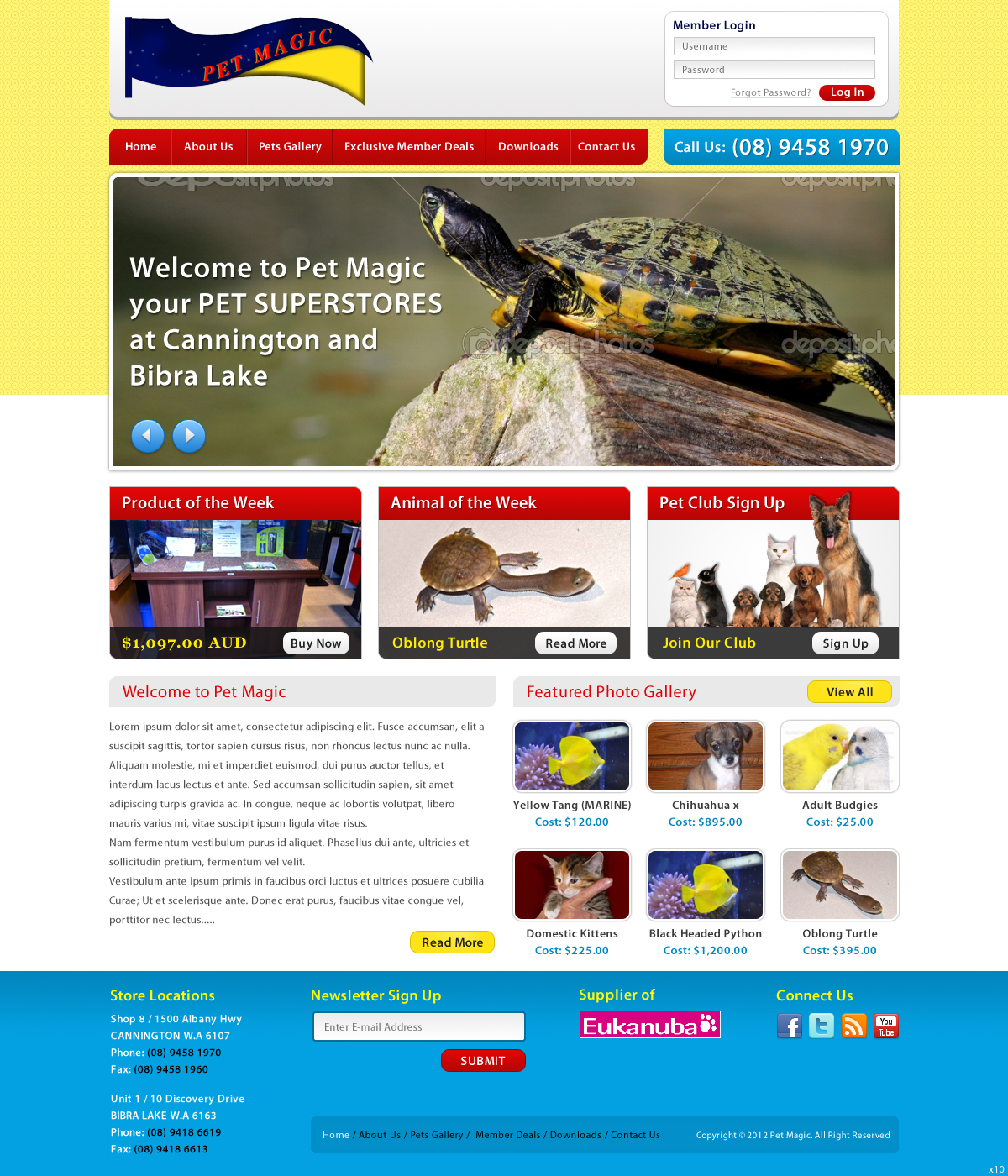 Web Design by pb for Perth Web Hosting | Design #1275684