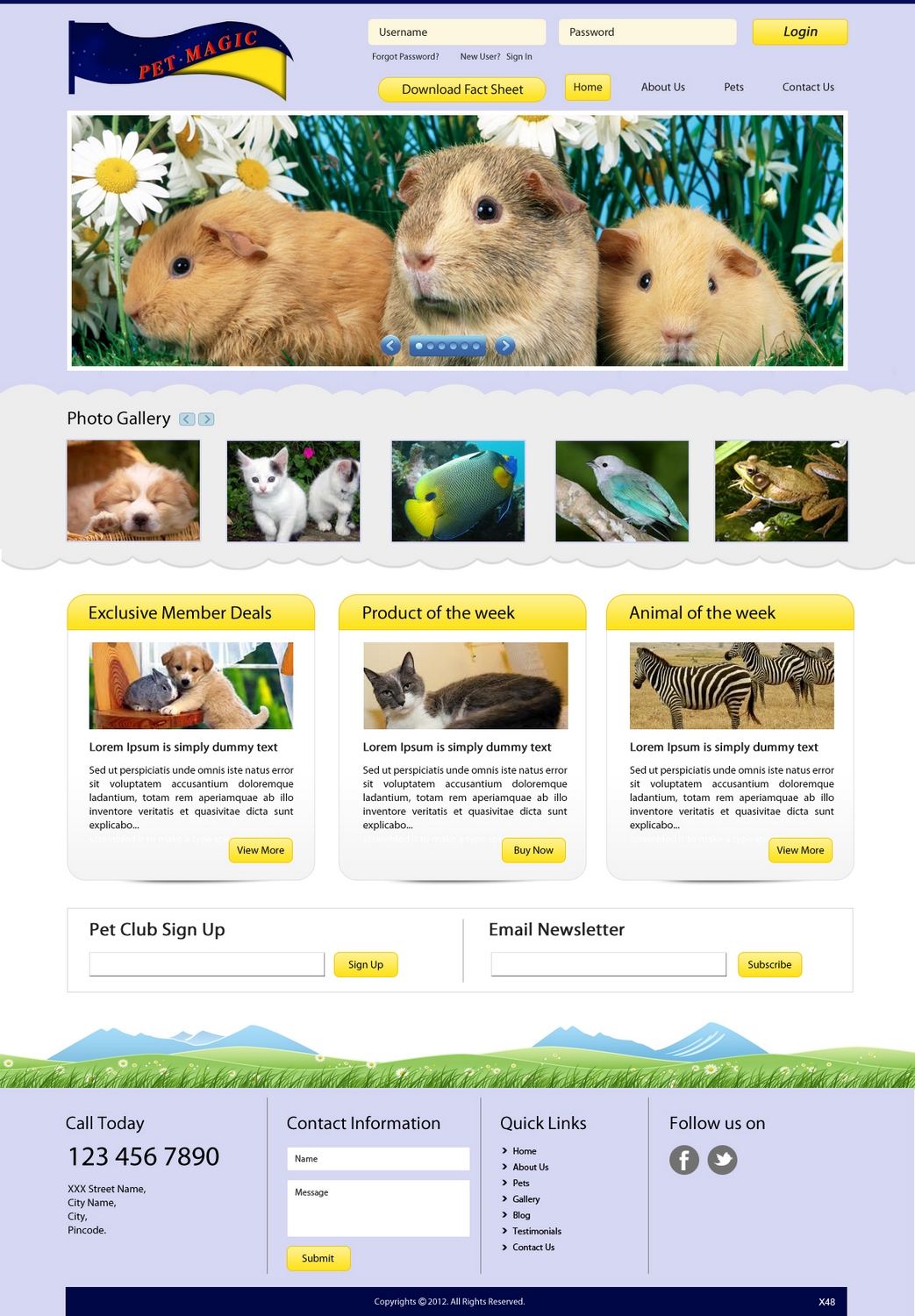 Web Design by pb for Perth Web Hosting | Design #1275689