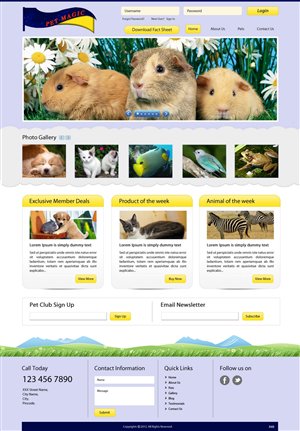 Web-Design von pb für Perth Web Hosting | Design: #1275689