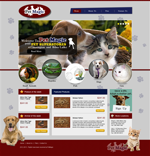 Web Design by TechWise for Perth Web Hosting | Design #1278987