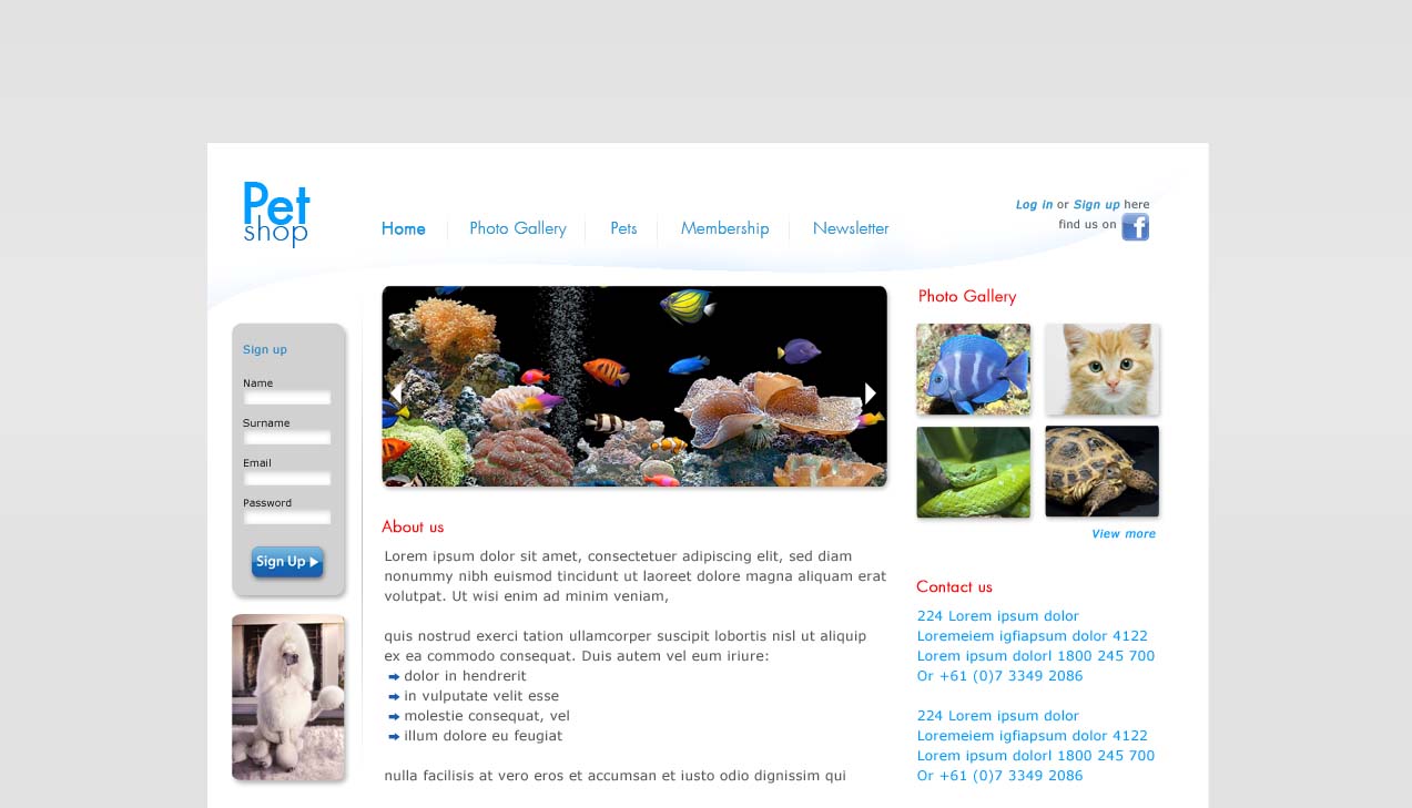 Web Design by gd.infinity for Perth Web Hosting | Design #1265737