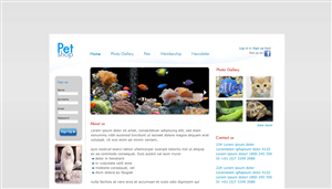 Web Design by gd.infinity