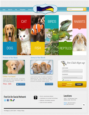 Web Design by ryan